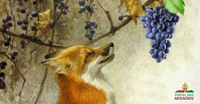Raposa olhando para as uvas. 